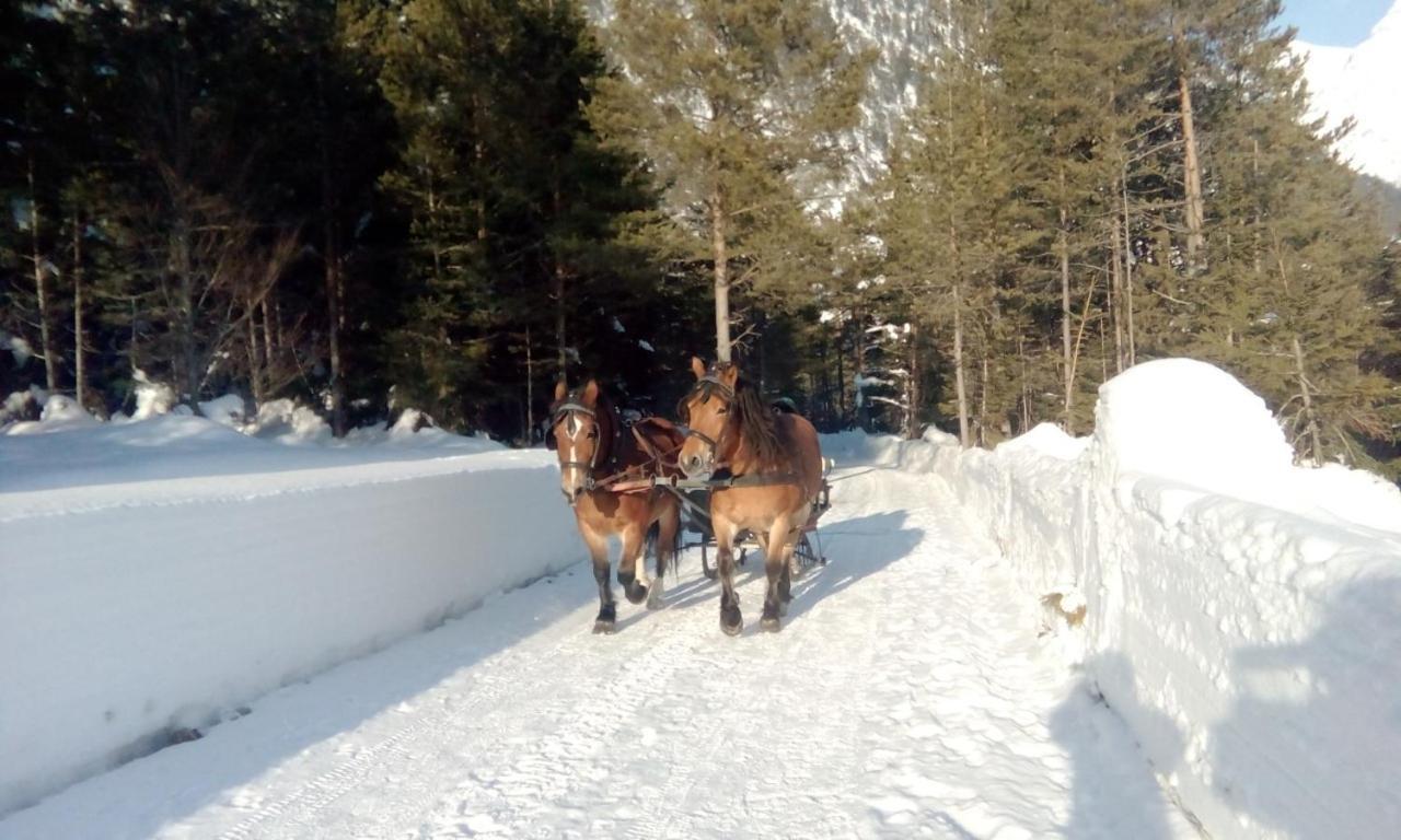 Gasthof Risserhof Scharnitz Bagian luar foto